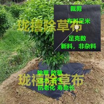 그물망 방초매트 농사용부직포 서리방지 흰색부직포 비닐하우스비닐 농사용 비닐하우스 보온덮개 제초매트 텃밭화분, 블랙 15 못 1000개