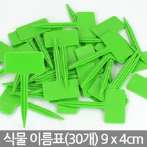 컬러 T자 사각 화분 이름표 - 화분 이름표 꽂이 푯말 네임텍 원형 칠판 칼라 컬러 일자 분갈이 T자 사각, 01_한성_T자 이름표 4호(30개)-그린