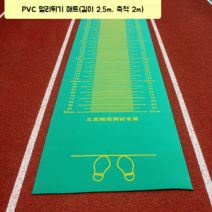 제자리멀리뛰기 매트 3.5m 2.5m 체력장 육상 입시, 2.5M(그린PVC 소재)