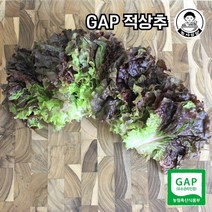 [농사임당] GAP 적상추 샐러드 야채 쌈채소 500g/1kg, 500g