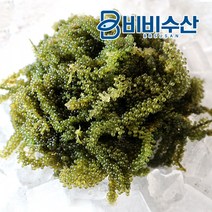 비비수산 프리미엄 바다포도 100g *2팩, 1개