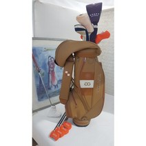 프라이스골프 여성 골프채풀세트 갈라시아 캐디백 새것같은 중고, 단일 제품