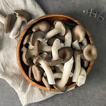국내산 느타리버섯 2kg 1kg 벌크, 1개