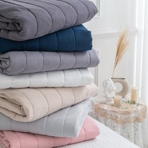 비비드 항균 알러지케어 사계절 밴딩 침대 패드 카페트 Q