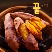 22년 해남 햇 한입 호박 꿀 고구마 3kg/5kg/10kg, 3kg