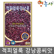 적피얼룩 강낭콩씨앗 50립