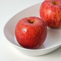 당도선별 고당도 꿀사과 문경 사과, 5kg (17~19과)_12브릭스 이상