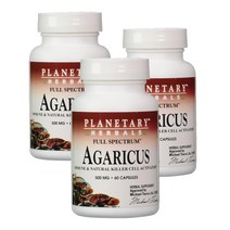 플랜터리 허벌 아가리쿠스버섯 추출물 500mg 60정 Planetary Herbals Agaricus, 3개