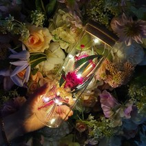 라알레그리아 카네이션 LED 특별한 편지지 세트 꽃 특이한 유리병편지 어버이날 스승의날 선물 감동 이벤트 행사 부모님 선생님, 레드 카네이션 유리병 편지지, 유럽풍 편지지 2장 추가안함