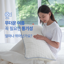 아이스 아이싱 아기 강아지 환자 쿨링 토퍼 흙침대 돌침대 돌쇼파 라텍스 냉감 냉매트여름