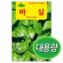 대용량 바질 씨앗 200g 허브씨앗 바실씨앗 (C328)