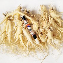 [GAP 취득 농부의 인삼] 인삼 수삼 6-5년근 난발 파삼 세척 삼계탕 선물 산지직송 홍삼액 정성가득, 세척안함, 4.잔소난발(750g)-18뿌리내외