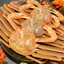 [당일발송] 최상급 활 영덕대게 생물 포항 구룡포 박달대게 산지 직송 크기선택, 5. 영덕대게 중 9.6~9.9cm 5미