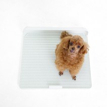 독톡 강아지 화장실 배변판 연장형, 표준형 배변판 M_화이트, 화이트, 1개