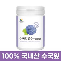 수국잎 열수 추출물 분말 식약처 인정 국내산 수국 산수국 잎 입 열수 추출액 가루 고함량 함유 대용량 수극 차 티 물 우유 재료 먹는법 리세린지 하이드란제놀 추천, 100그램 x 1통