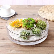 [해외직구] 원형 수경재배화분 수반 테라리움용기 테라리움재료 테라리움화분[해외직구] 원형 수경재배화분 수반 테라리움용기 테라리움재료 테라리움화분, 투명유리