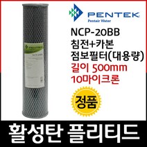 펜텍 NCP-20BB 카본 플리티드 필터 500mm 10um, 단품