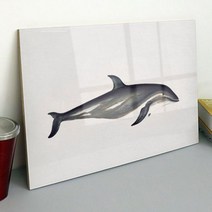 ce862-아크릴액자_돌고래한마리대형