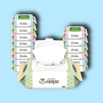 미래생활 새싹이 물티슈 캡형 100매 20팩 세트, 미래생활 새싹이 캡형 100매 20팩