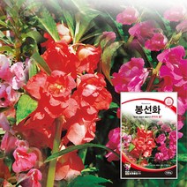 팜스마켓 봉선화씨앗 100립 봉숭아물들이기 꽃씨앗 종자