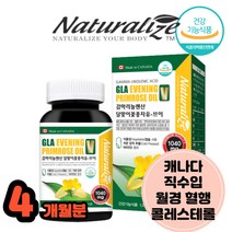 감마리놀레산 혈액순환개선제 LDLHDL 첫생리선물 월경불순 혈관에좋은 혈액순환제