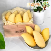 [과일엔] 태국 남독마이 생 골드망고 2-5과 1.25kg 내외 열대과일, 단품