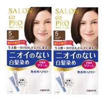 다리야 살롱드프로 새치염색약 무향료 셀프 밝은갈색 일본염색약 간편염색약 흰머리염색 암모니아프리, 5호 자연갈색, 2개