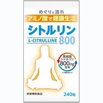일본 웰니스 시트룰린 240정 1개 약 30일분 운동 보조제 헬스, 3개세트(약3개월)