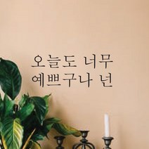단비데코 감성레터링 스티커 감성문구 응원 명언 현관문 포인트스티커, L-43너무예쁘구나넌-블랙