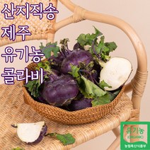산지직송 유기농 제주 콜라비 제주도콜라비, 유기농콜라비_10kg