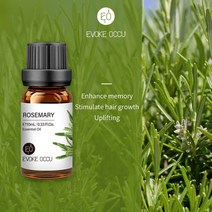 EVOKE-포크 에센셜 오일 10ML 아로마 디퓨저용 가습기 마사지 캔들 비누 제조 100% 자연 라벤더 자, 23 Rosemary_01 10ml