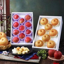 베리카인드 사과 배 1+1 과일선물세트 설날과일 설선물 설과일 제수용 과일, 1. 사과 배 과일선물세트 1+1(고급형)