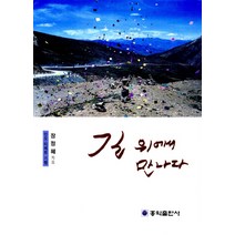길 위에서 만나다:인도 티베트 기행, 홍익출판사