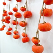 [가을열매모형] [왓위셀] 감나무 홍시 가지 모형 조화 가을 인테리어 장식 데코, 07. 7과 단감가지