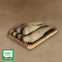 태나농장 우수농작물 마 산마 참마 산약 생마 햇마 3kg 5kg, 산마 하품 3kg, 1개