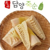 23년 국내산 담양 햇 죽순 삶은죽순 생죽순 대나무순 냉동죽순 1kg 2kg 죽순요리, 1개