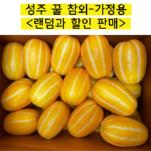 고당도 성주참외 산지직송 2kg 5kg 10kg, 가정과