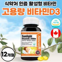 활성형 비타민 D3 플러스 2000iu 써니디 캡슐 비타디 비타민D 고함량 비타민디 임산부 어린이 청소년 40대 50대 비타민dd3 고용량 캐나다 직수입 약 12개월 임신부 아이