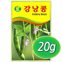 청농 강낭콩 씨앗 20g