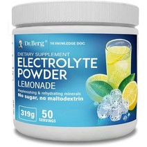 닥터베르그 전해질 파우더 칼륨 핑크히말라야솔트 레몬에이드 드링크믹스 319g Dr. Berg Nutritionals Electrolyte Powder, 1개