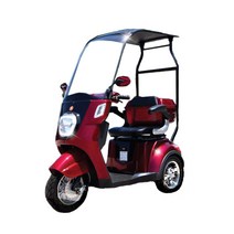 이지모터스 바람막이 스쿠터 노인용 전동차 안전한 오토바이 EG-260