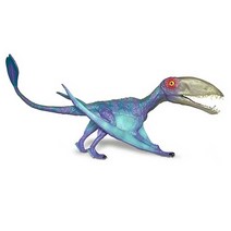 어린이집 공룡 학습 공부 교구 익룡 장난감 피규어 kyougil*6023501cP