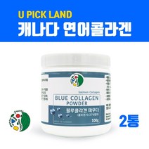 블루콜라겐 저분자 어린콜라겐 펩타이드 분말 저 분자 피쉬콜라겐 가루 수용성 어류콜라겐 파우더 연어콜라겐 히알루론산 먹는 콜라겐c 로얄젤리분말 친환경 무첨가 효능 캐나다직구, Fkrps, Qkgkd_zhg02