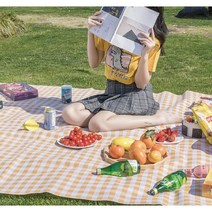 다이소돗자리 캠핑 피크닉매트, 민트 중형