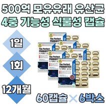 500억 프로 포스트 바이오틱스 배변 활동 학생 직장인 식약처인정 4세대 유산균 배양건조물 장내 유익균