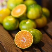 제주직송 고당도 하우스감귤 2.5kg 프리미엄과 로얄과 소과 대과 꼬마, 하우스감귤2.5kg 프리미엄과(S)