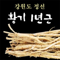 황기/1년근/300g/강원도 정선, 300g, 1개