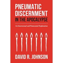 Pneumatic Discernment in the Apocalypse: An Intertextual and Pentecostal Exploration Paperback, CPT Press, English, 9781935931683