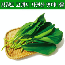 친환경 자연산 명이나물 산마늘잎 홍천명이나물 생명이나물 명의나물 줄기명이 산마늘 명이나물 2kg 주문 생잎 강원도 홍천명이 영양산나물 4월 제철나물 야생산나물 2키로, 잎명이 2kg
