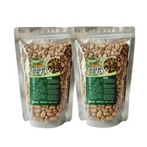 해남농수산 프로틴 파바빈 콩 식물성 단백질 잠두콩 500g, 2개